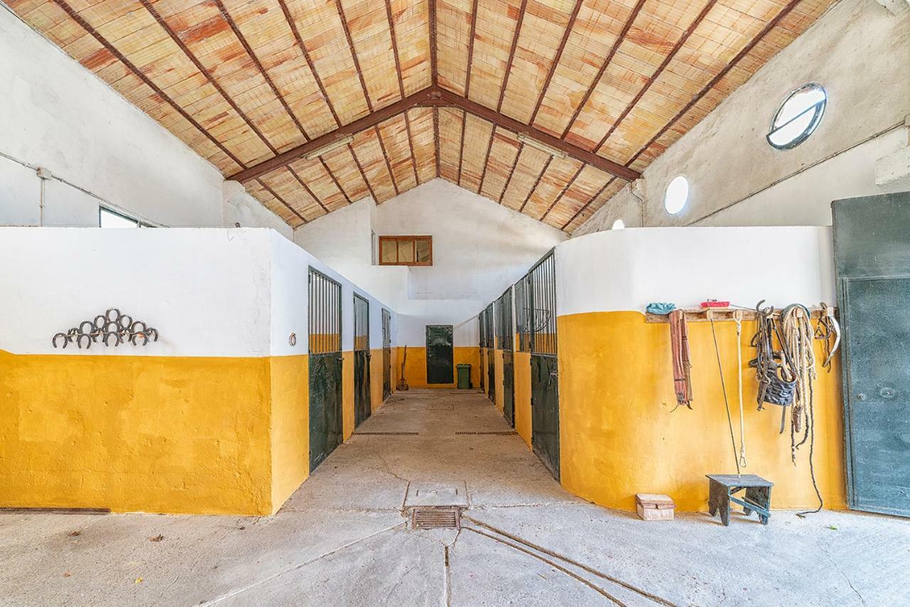 Alterhome Private Villa Cortijo Sierra Y Lago Arcos de la Frontera Buitenkant foto
