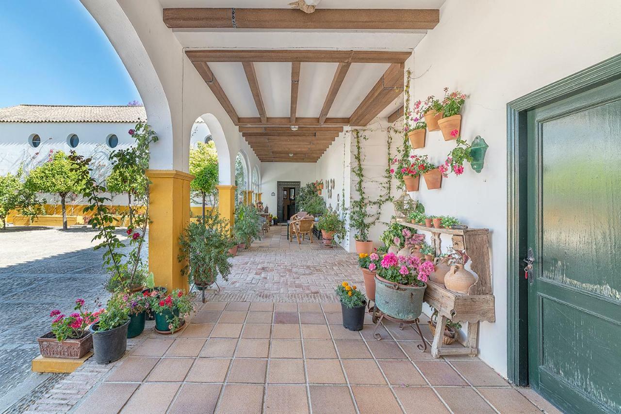 Alterhome Private Villa Cortijo Sierra Y Lago Arcos de la Frontera Buitenkant foto