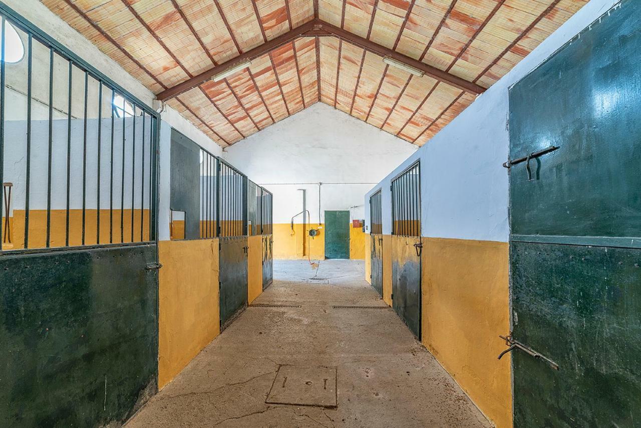 Alterhome Private Villa Cortijo Sierra Y Lago Arcos de la Frontera Buitenkant foto